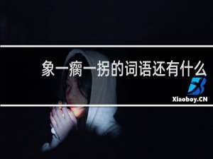 象一瘸一拐的词语还有什么