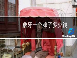 象牙一个牌子多少钱