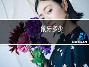 象牙多少