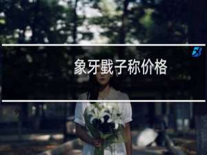象牙戥子称价格