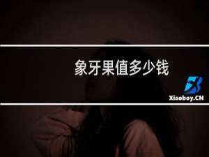 象牙果值多少钱