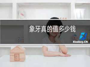 象牙真的值多少钱