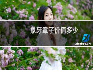象牙章子价值多少