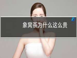 象窝茶为什么这么贵