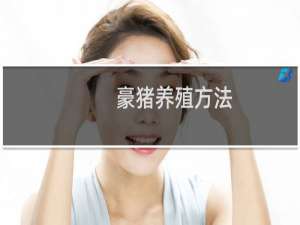 豪猪养殖方法