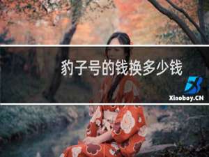 豹子号的钱换多少钱
