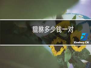 貔貅多少钱一对
