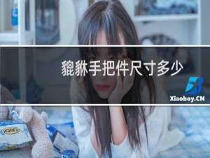 貔貅手把件尺寸多少