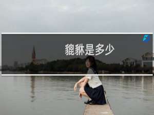貔貅是多少