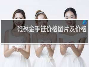貔貅金手链价格图片及价格