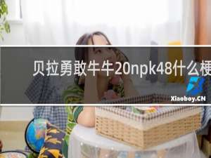 贝拉勇敢牛牛 npk48什么梗