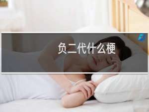 负二代什么梗？什么梗