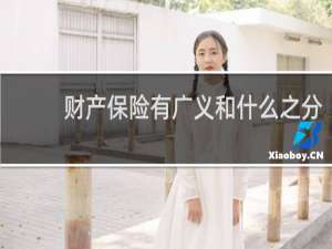财产保险有广义和什么之分