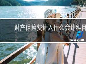 财产保险费计入什么会计科目