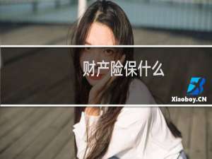 财产险保什么