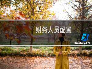 财务人员配置