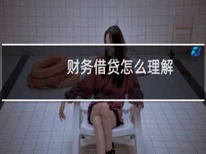 财务借贷怎么理解