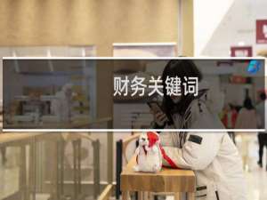 财务关键词