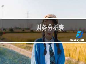 财务分析表