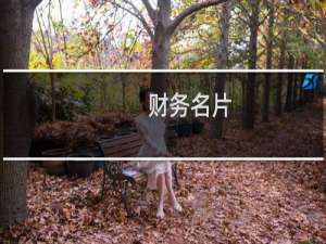 财务名片