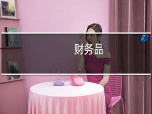 财务品