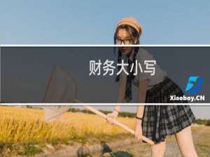 财务大小写