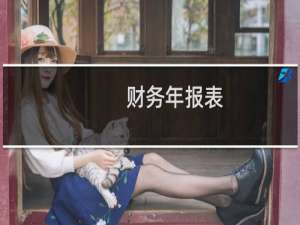财务年报表