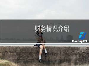 财务情况介绍