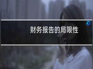 财务报告的局限性