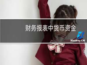 财务报表中货币资金
