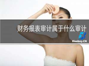 财务报表审计属于什么审计