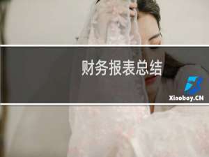 财务报表总结