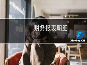 财务报表明细