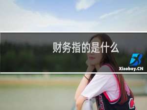 财务指的是什么