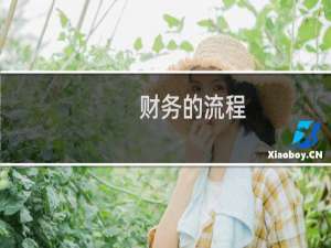 财务的流程