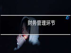 财务管理环节