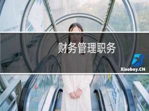 财务管理职务
