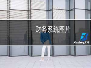 财务系统图片