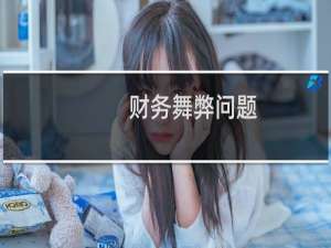 财务舞弊问题
