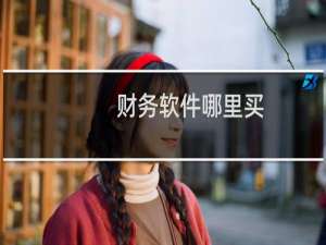 财务软件哪里买,大概多少钱