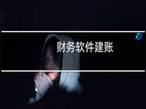 财务软件建账