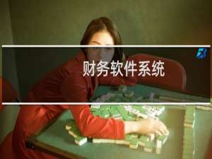 财务软件系统