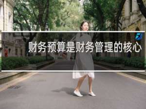 财务预算是财务管理的核心