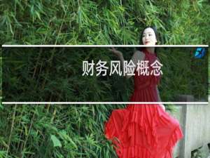 财务风险概念