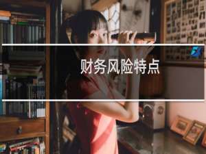 财务风险特点