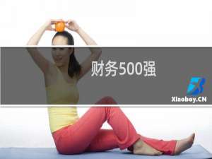 财务500强