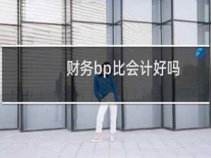 财务bp比会计好吗
