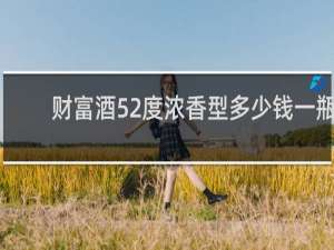 财富酒52度浓香型多少钱一瓶