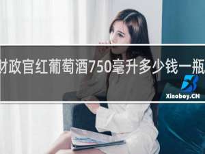 财政官红葡萄酒750毫升多少钱一瓶法国的