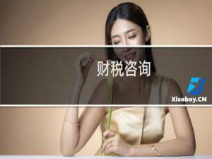财税咨询
